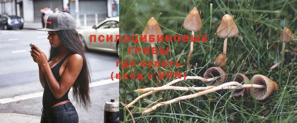 бутират Алексин
