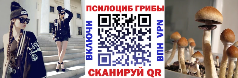 Псилоцибиновые грибы GOLDEN TEACHER  Мензелинск 